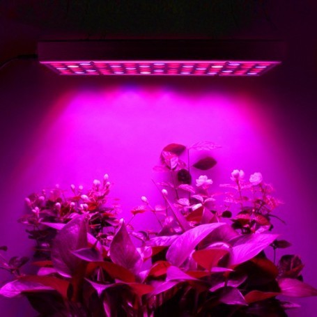Lampa LED 15W Vivimall, pentru cresterea plantelor in interior, material ABS, cu agatatoare, 25 x 25 cm, multicolor - vivimall.ro