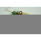 Коледна украса, Птица, Гланцирана, 17*17 см, Акрил, За вътрешна/външна употреба