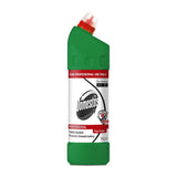 Pachet Domestos Dezinfectant Zilnic Pine Fresh – Detergent Lichid Dezinfectant, 12×1 L - vivimall.ro
