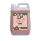 Pachet Lux Professional Hand Wash – Sapun Lichid pentru Maini, 2×5 L - vivimall.ro