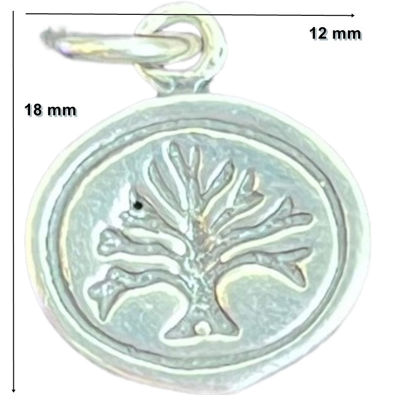 Pandantiv Din Argint 925 Jolie Silver, 1.6 G