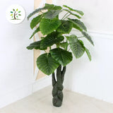 Planta Artificiala Alocasia Odora, Fara Ghiveci - vivimall.ro