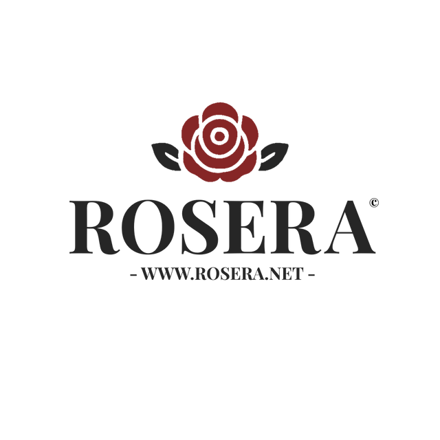 Demachiant Unghii Sence Beauty Fără Acetonă 200ml - Protejează Unghiile