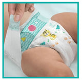 Pampers Baby‑Dry mărimea 4+ (Maxi), 10–15 kg — 86 buc. - vivimall.ro