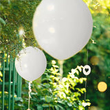 Set 10 Baloane Din Latex, 13 Cm, E, 2.2 G - vivimall.ro