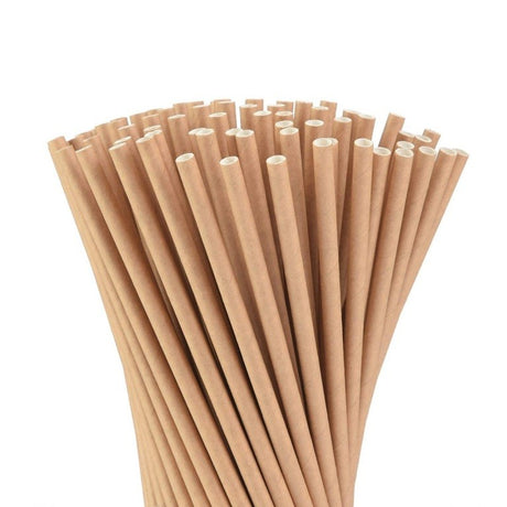 Set 100 Paie Din Hartie Kraft | BioParty - vivimall.ro