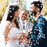 Tun de Confetti, Vivimall, Confetti Cannon 40 cm, Model Fluturi din Hartie, Alb - vivimall.ro