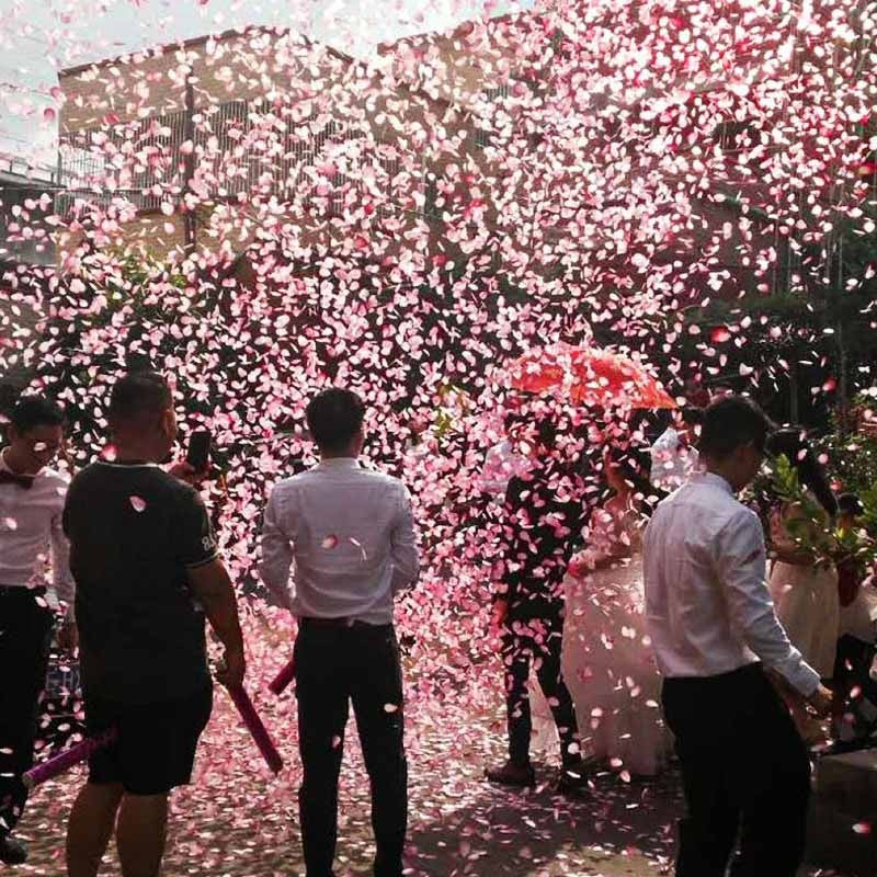 Tun Confetti, Vivimall, Confetti Inimioare si Mesaj Love, 40 x 5 cm, Roz Alb - vivimall.ro