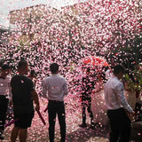 Tun Confetti, Vivimall, Confetti Inimioare si Mesaj Love, 40 x 5 cm, Roz Alb - vivimall.ro